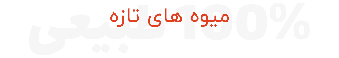 صفحه اصلی 02