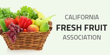 صفحه اصلی 05